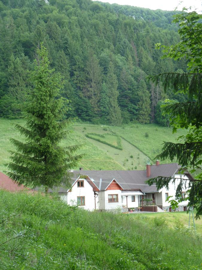 Penzion Borovica Stratena Exterior photo