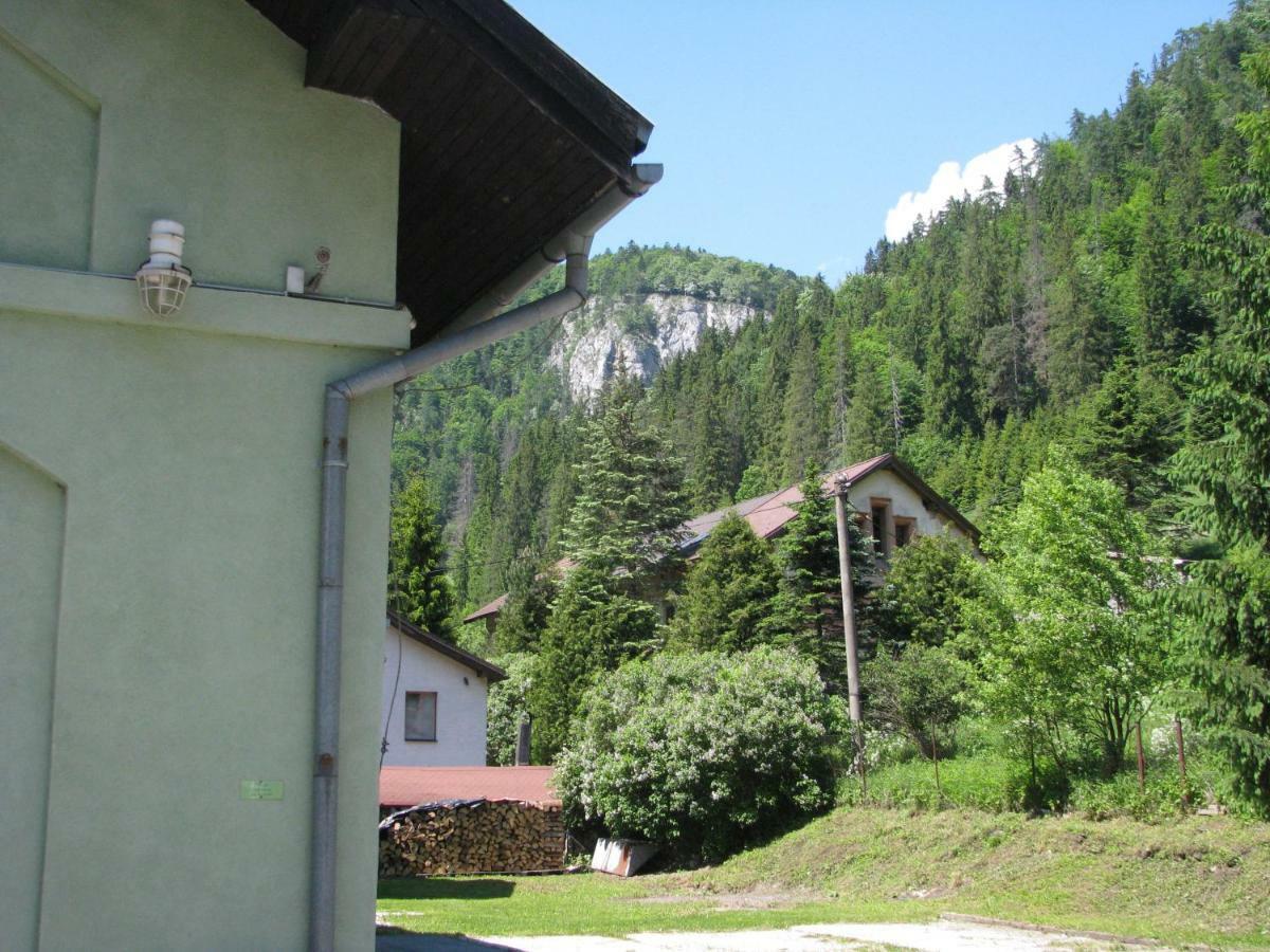 Penzion Borovica Stratena Exterior photo